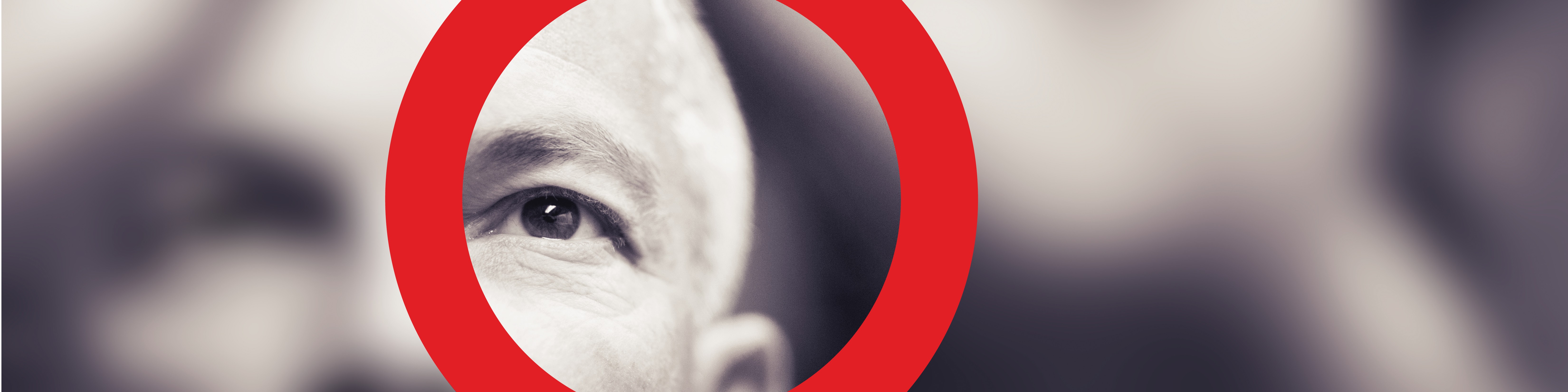 SRG GLOBAL INC visual data 6