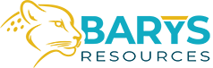 Barys Resources Limited Logo Image