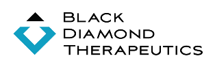 Black Diamond Therapeutics, Inc. Logo Image