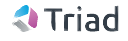Triad Group plc Logo Image