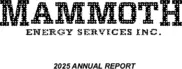 Mammoth Energy Services Inc.