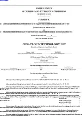GigaCloud Technology Inc.