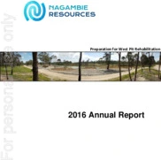 Nagambie Resources Limited