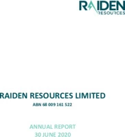 Raiden Resources
