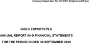 Guild Esports