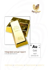 Pan African Resources PLC