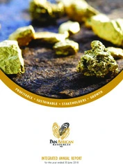 Pan African Resources PLC