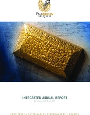 Pan African Resources PLC