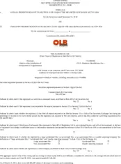 The OLB Group, Inc.