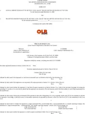 The OLB Group, Inc.