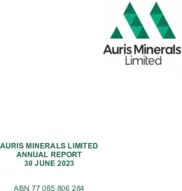 Auris Minerals Limited