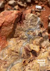 Lion Selection Group Limited