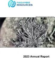 Nagambie Resources Limited