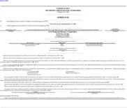 New Mountain Finance Corporation