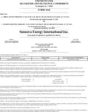 Sunnova Energy International Inc.