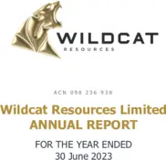 Wildcat Resources