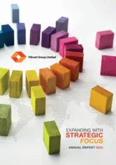 Vibrant Group Limited