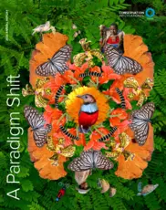 Conservation International