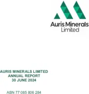 Auris Minerals Limited