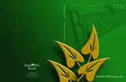 Beacon Financial Corporation