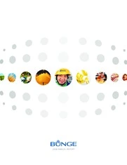 Bunge Limited