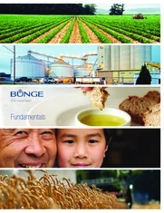 Bunge Limited