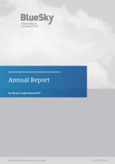 Blue Sky Alternative