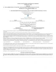 Vidler Water Resources, Inc.