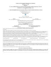 Vidler Water Resources, Inc.
