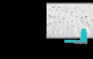 Lexicon Pharmaceuticals, Inc