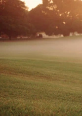 Benitec Biopharma Inc.