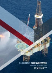 Parkmead Group plc