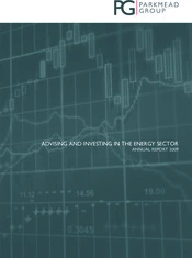 Parkmead Group plc